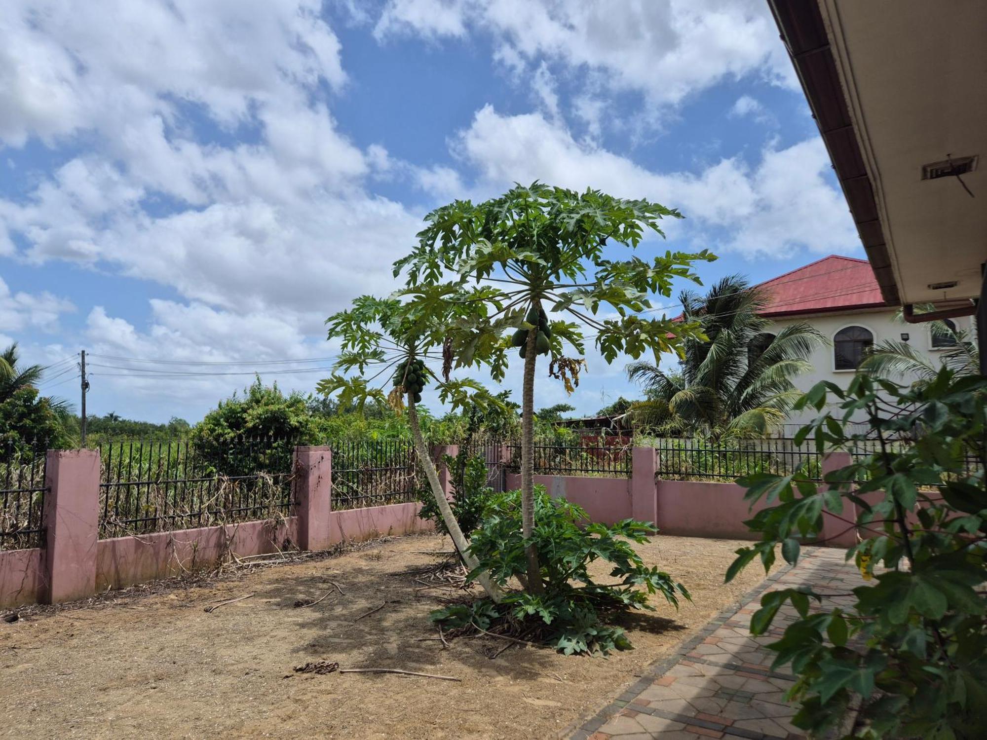 Chander'S Villa Paramaribo Exterior photo