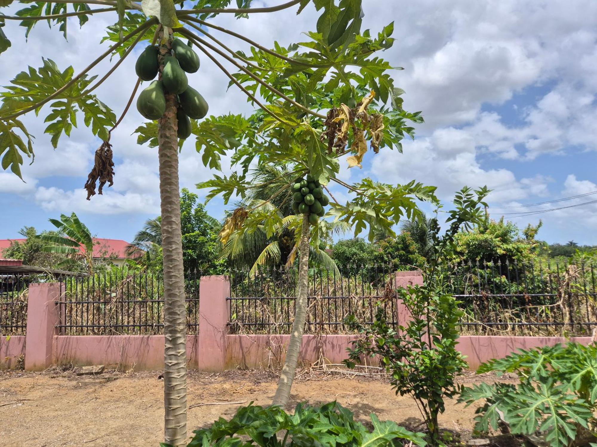 Chander'S Villa Paramaribo Exterior photo