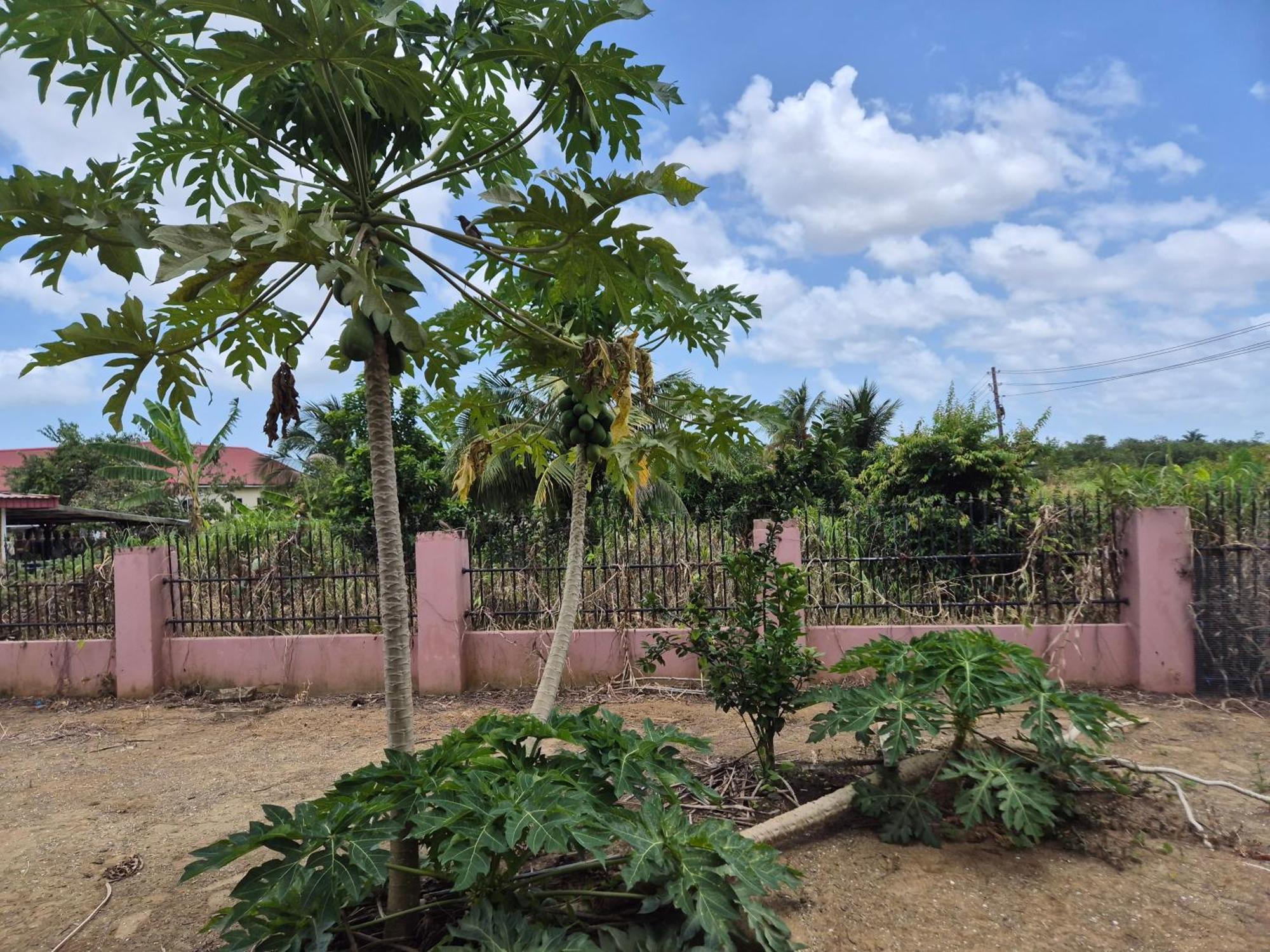 Chander'S Villa Paramaribo Exterior photo